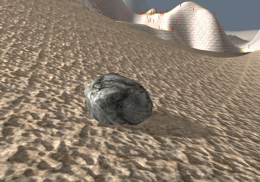 A rock in a sandy area